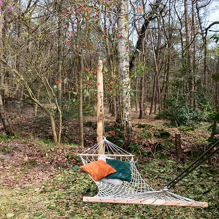 アパート Reelax Hottub En Vrij Uitzicht Over Het Bos Diessen